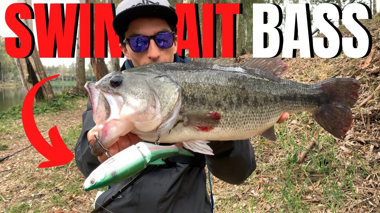 BIG BASS a SWIMBAIT! Mi ha mangiato SOTTO i piedi…