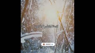 Surah Al Baqarah  Ayat -148