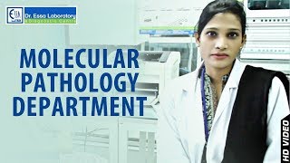 Our Molecular Pathology department