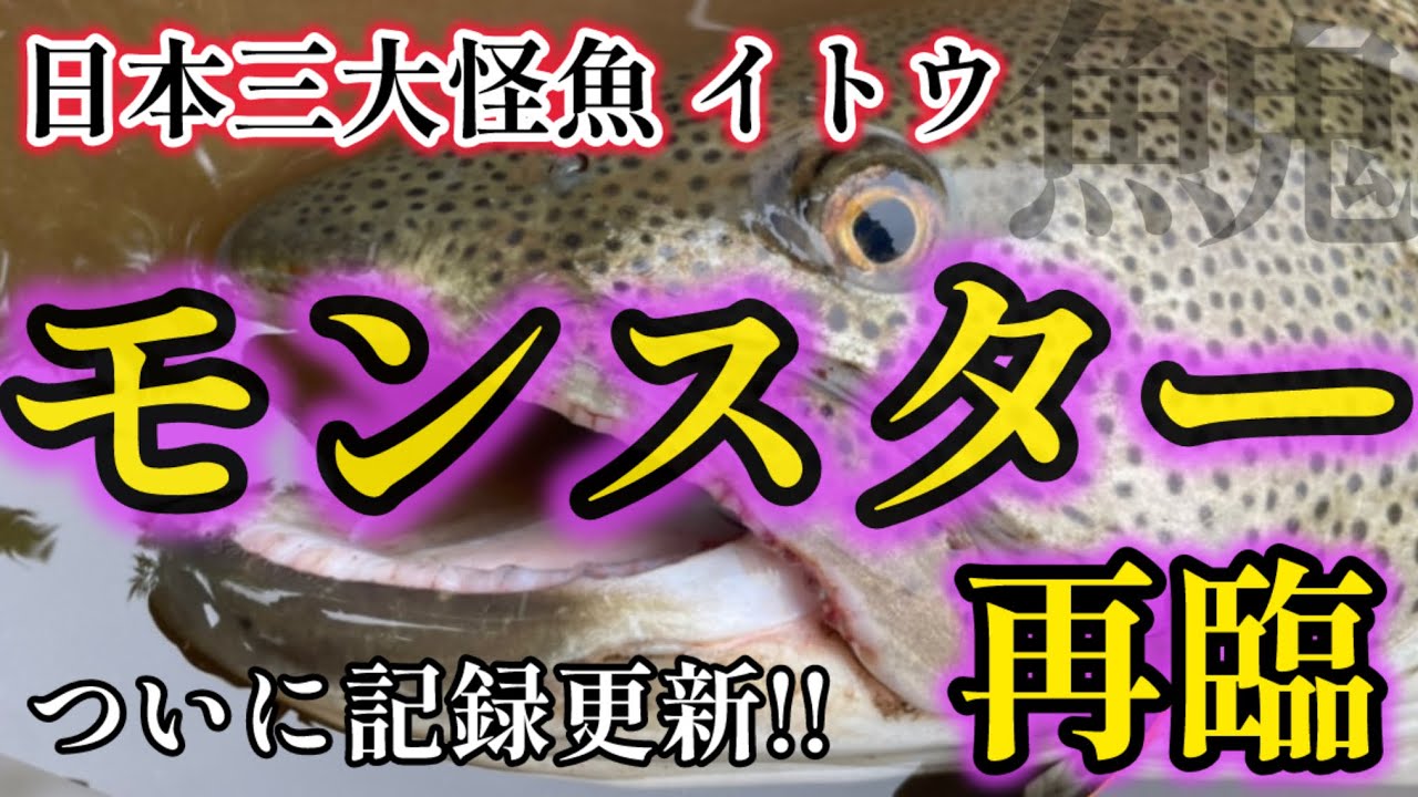 【北海道 釣り 鬼12】自己記録更新!!余裕のメーターオーバー!!モンスターイトウ再び…