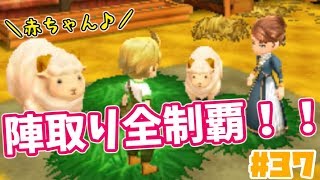 陣取りエリア全制覇 出荷額がやばすぎる 37 牧場物語つながる新天地 Youtube 陣取りエリア全制覇 出荷額がやばすぎる 37 牧場物語つながる新天地 Youtube