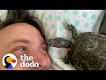 Turtle Is His Dad's Shadow And He's Obsessed With Looking Deep Into His Eyes | The Dodo Soulmates