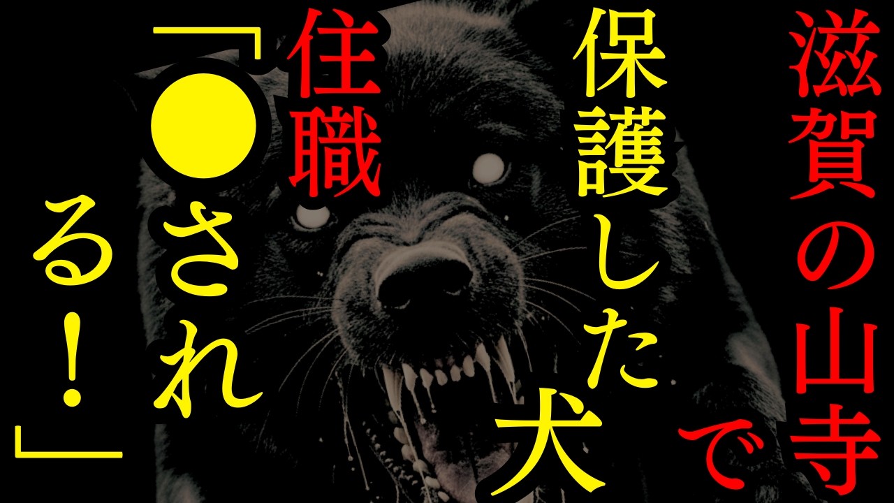 【ゆっくり怪談朗読】滋賀の山寺裏で見つかったボロボロの犬保護した住職何故か〇亡【怖い話】4選