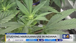 Indiana lawmakers hear public input on marijuana legalization
