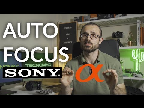 Enfoque AUTOMÁTICO en VIDEO para cámaras Sony
