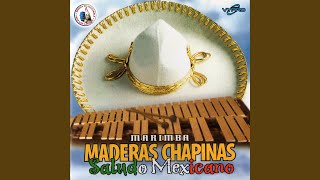 Miniatura de vídeo de "Marimba Maderas Chapinas - Amor Eterno"