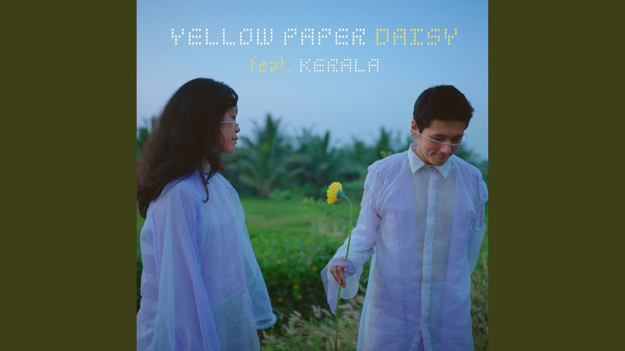 Yellow Paper Daisy Music