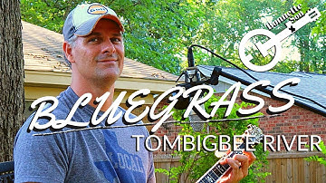 Tombigbee River / Gum Tree Canoe