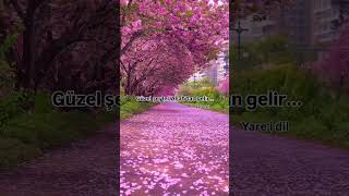 Bir Beklentiniz Varsa Allahtan Olsun. Zira Kul Menfate Bakar.