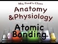 Understanding Atomic Bonds
