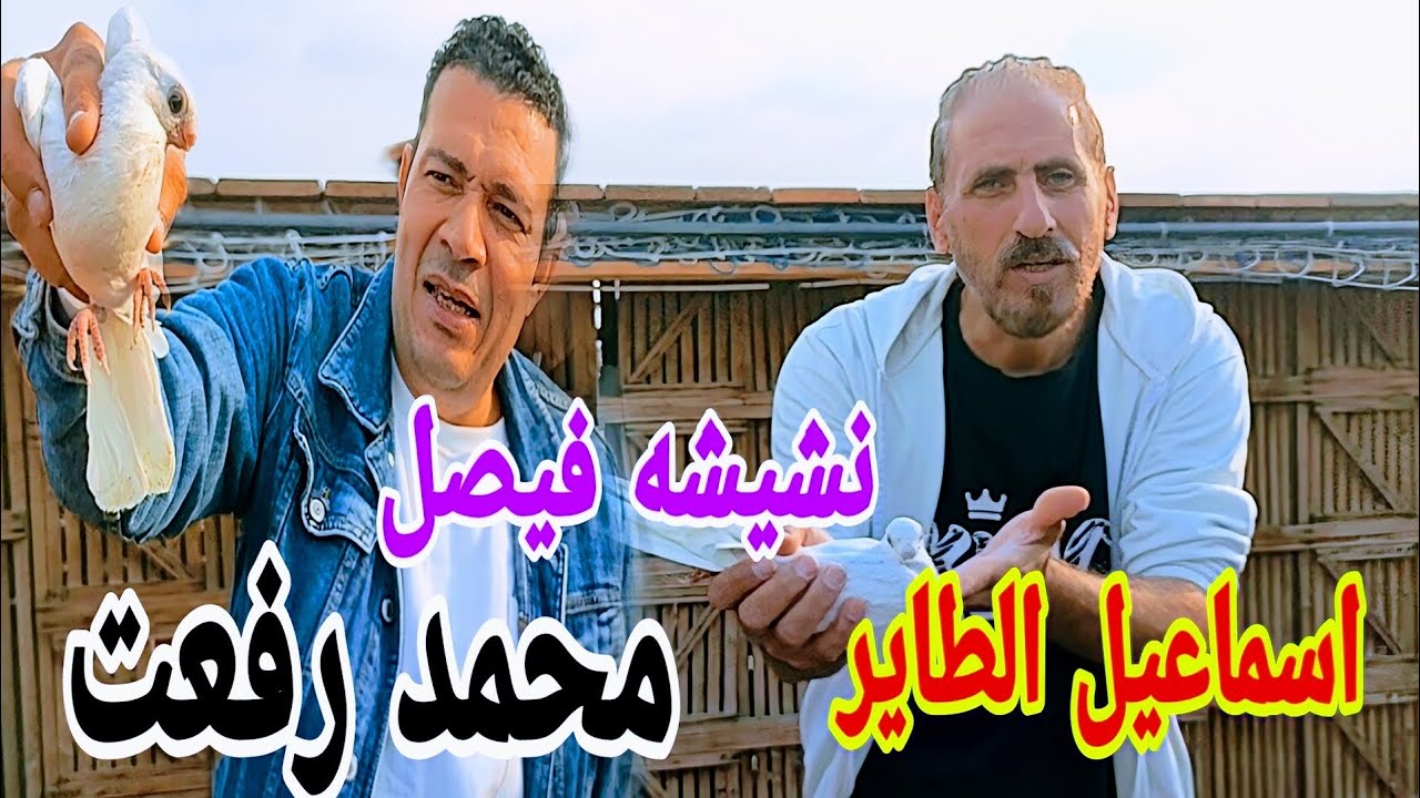 نش الحمام الغزار 2025 من دائرة فيصل#الحمام_الغزار