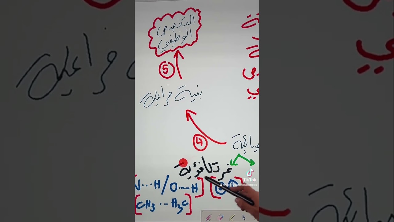 ما هي العلاقة بين المورثة والتخصص الوظيفي للبروتين 🥸🥸 #bac2024 #science #education #algerie