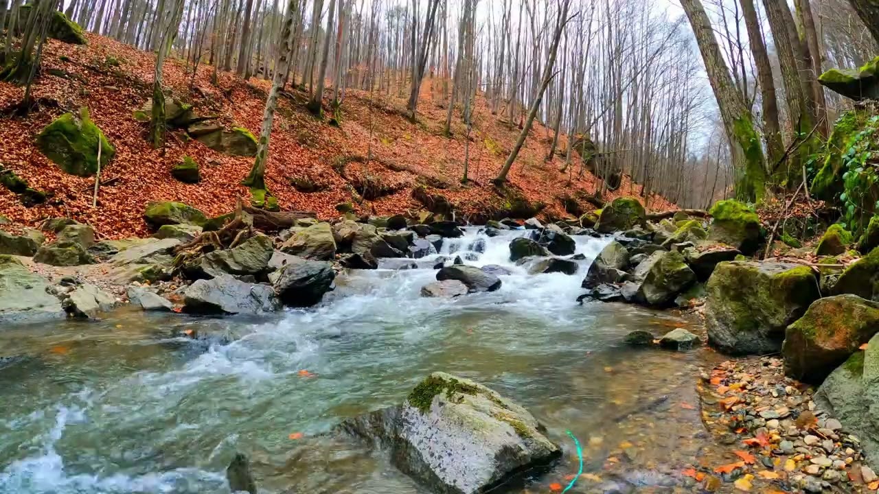 Water Meditation: Meditation Now 321 - Relaxing video and peaceful music to help you fall asleep.