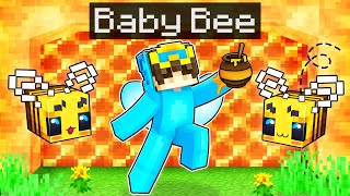 Becoming A BABY BEE In Minecraft!