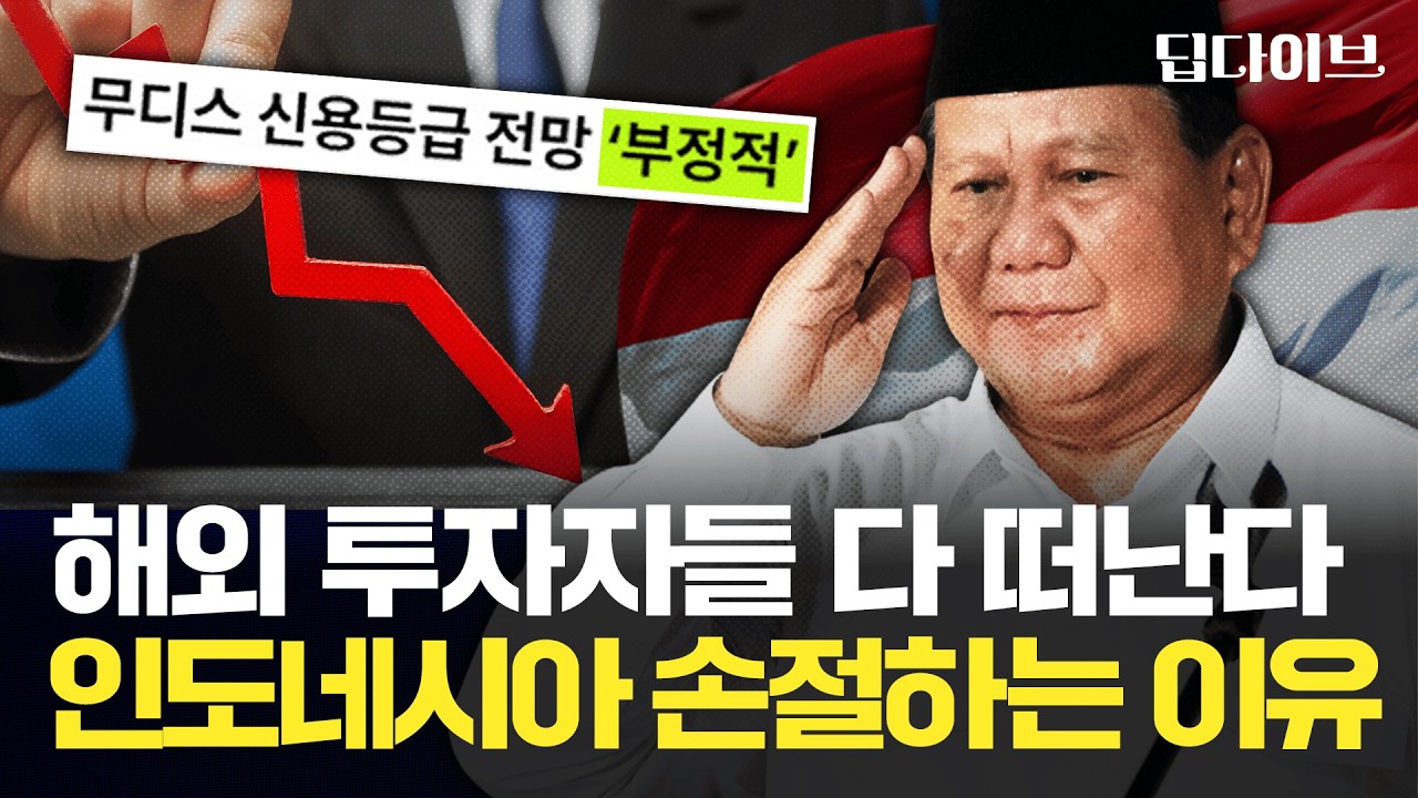 서울 67배 땅 빼앗아 무상급식? 인도네시아가 해외 투자자들에게 '손절' 당하는 이유 | 🌊딥다이브🌊