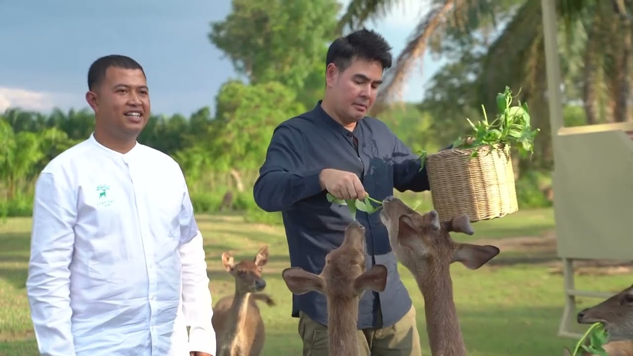 🏝️เที่ยวใต้ให้นานขึ้น ตรัง & สตูล | สมุดโคจร EP.147 | 13.07.68 [Full]