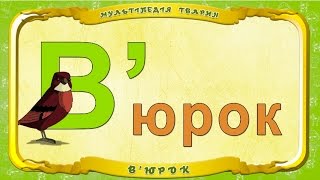 Мультіпедія Тварин. Літера В - В'юрок