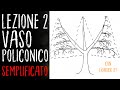 VASO POLICONICO SEMPLIFICATO sull'OLIVO: come crearlo