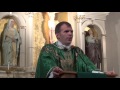 Pornography, Marriage, and Divorce - Fr. Jonathan Meyer - 10.4.15