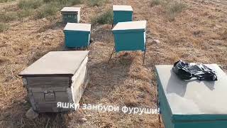 видео: 31 октября 2025 г. картинка: 31 октября 2025 г.