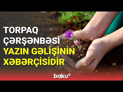 Torpaq çərşənbəsi yazın gəlməsindən xəbər verir - BAKU TV