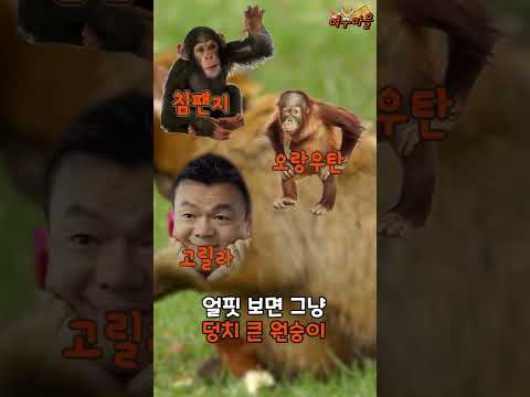   원숭이는 유인원과 뭐가 다를까