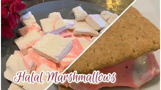 Halal Marshmallows recipe || 5 minute recipe of Homemade Halal Marshmallows ||Quick & Easy recipe