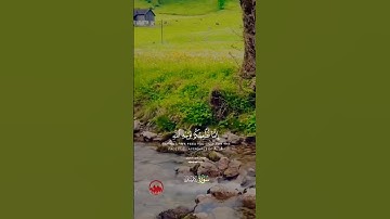 #قرآن#القرآن_الكريم#تلاوة_خاشعة#تلاوة_هادئة#تلاوة_مؤثرة#احمدالنفيس#surahdahr#fyp#viralquran#viral