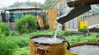 Дождевая вода для питья