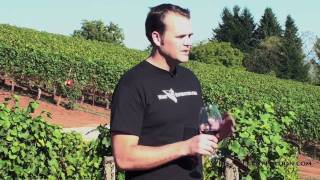 Wine Expedition to Oregon: Archery Summit part 2