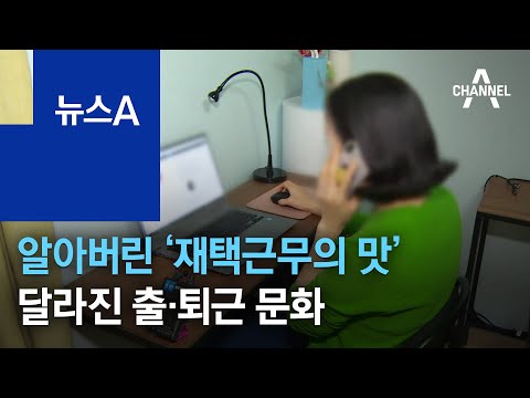   알아버린 재택근무의 맛 달라진 출 퇴근 문화 뉴스A