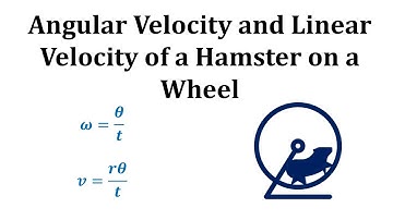 Angular Velocity and Linear Velocity: A Hamster Running in a Wheel
