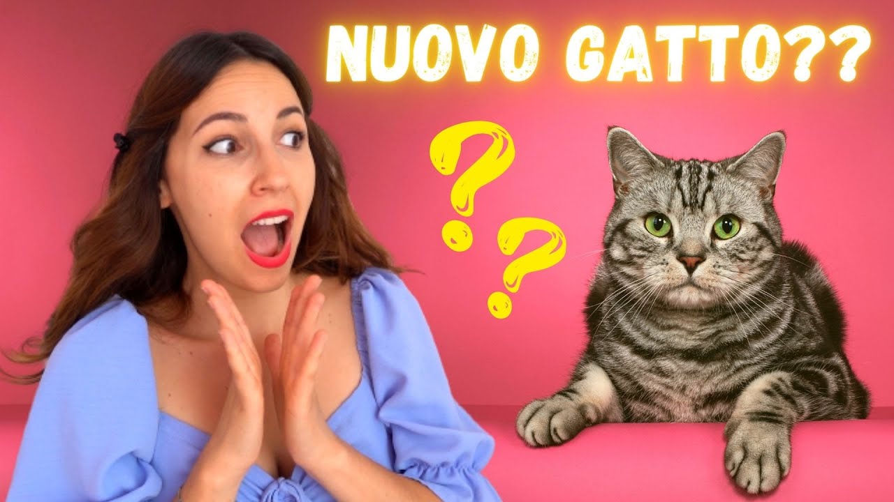 NUOVO GATTO A CASA MIA! CHI E' MICIOLO?