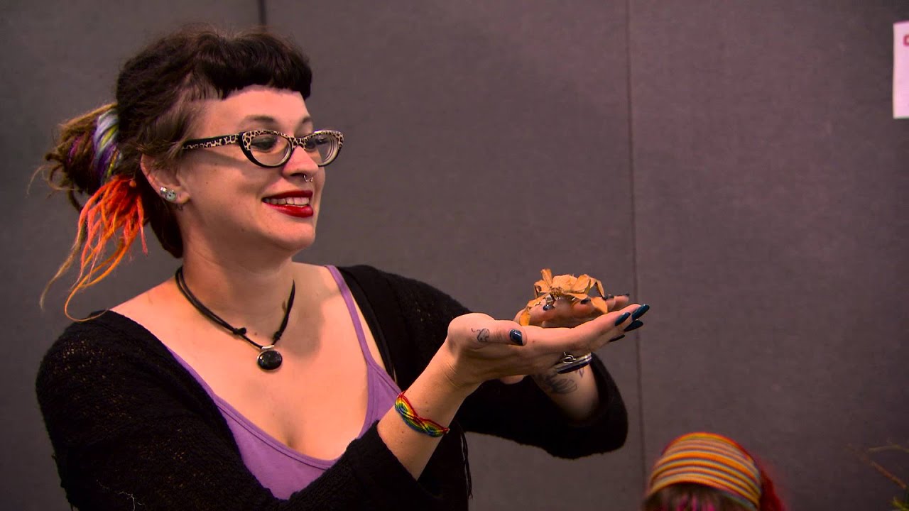 Highlights from the Silver Pet Prints Perth Pet Expo 2015