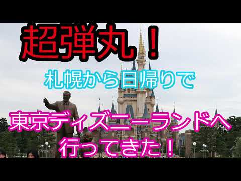 超弾丸 札幌から日帰りで東京ディズニーランドへ行ってきた 弾丸トラベラー Youtube