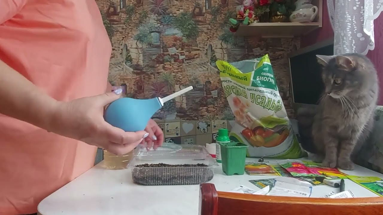 Первые посевы в сезоне 2026 года