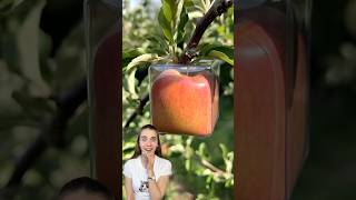 Crazy APPLE HACK! Real or Fake? #hacks #tools #unboxing