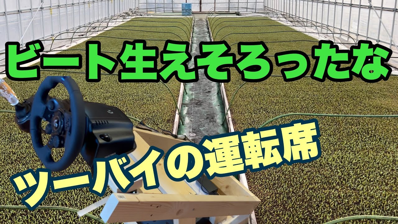 2023年3月26日 ハンコン スタンド 自作 ビート生えそろったな ツーバイ