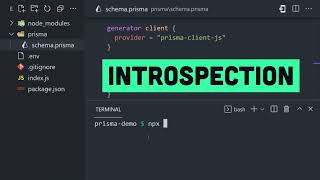 Information Prisma in 100 Seconds Guide
