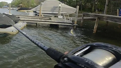 Lake Norman Fishing Big Bass Bash