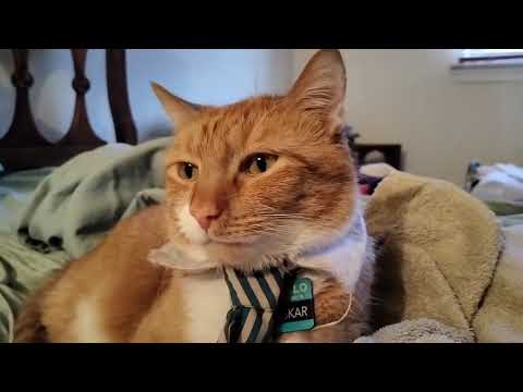 Oskar and taxes
