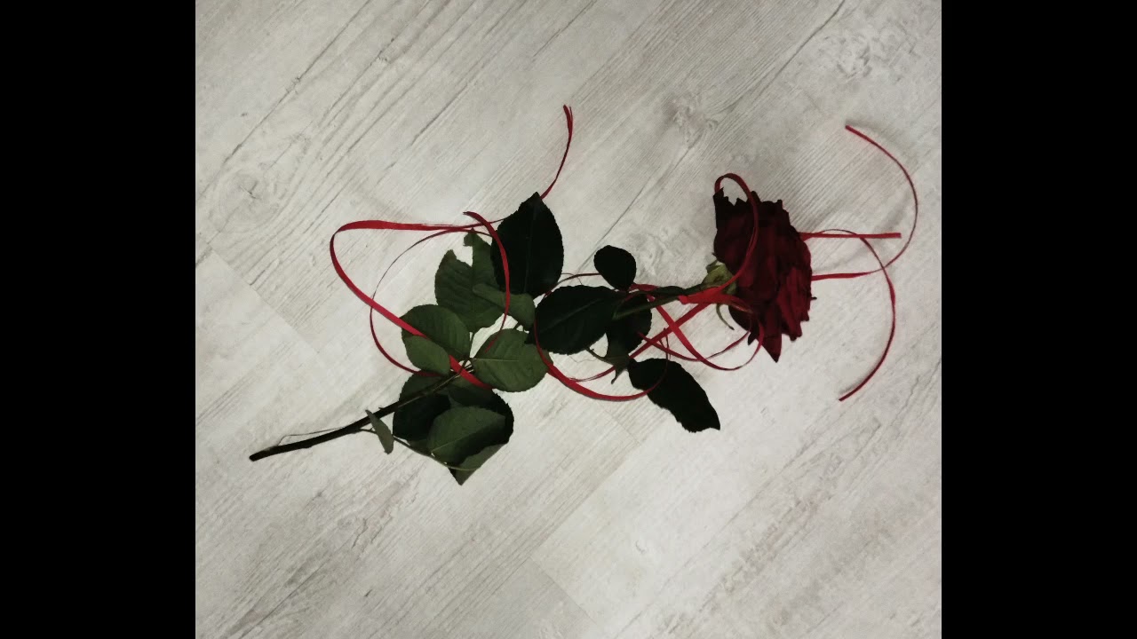 MightyG - LYL (Prod.Ty David)