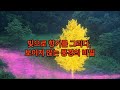 📸 이정록 사진작가 개인전 《Private Light》– 향기의 언어로 빛을 그리다, 시간과 감각을 담은 공감각적 풍경#이정록 #PrivateLight #갤러리나우 #아트플렉스