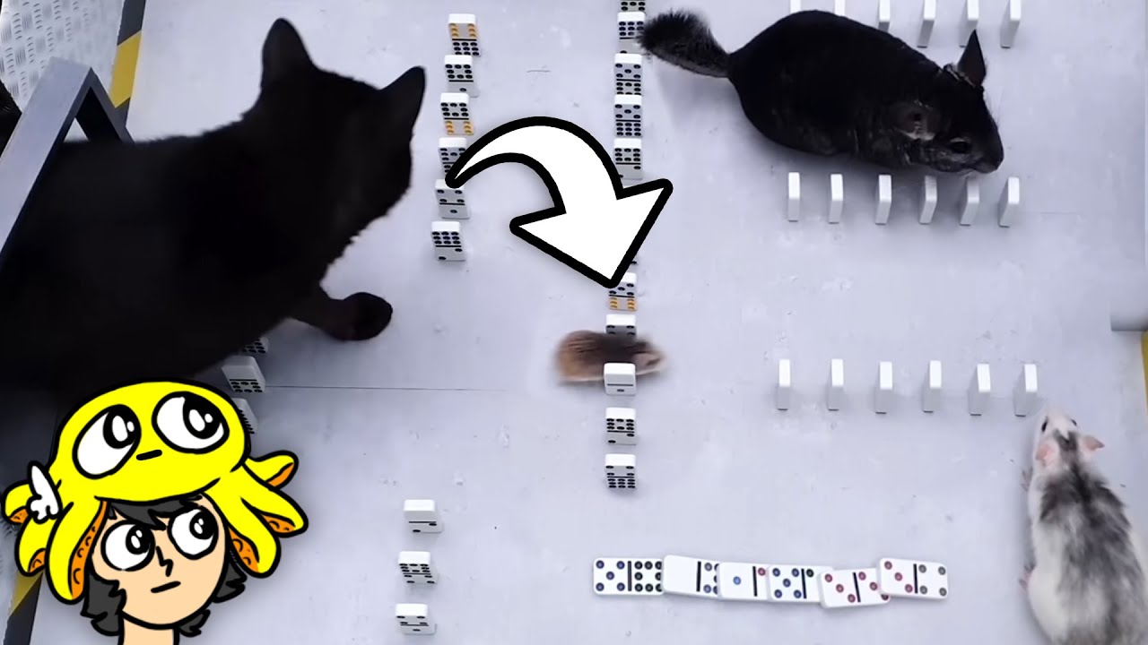 apostando em MAIS animais pra ver qual o melhor