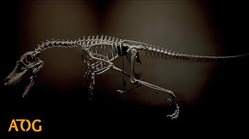 I 3D Printed A Full Size Velociraptor Skeleton……Part 2!