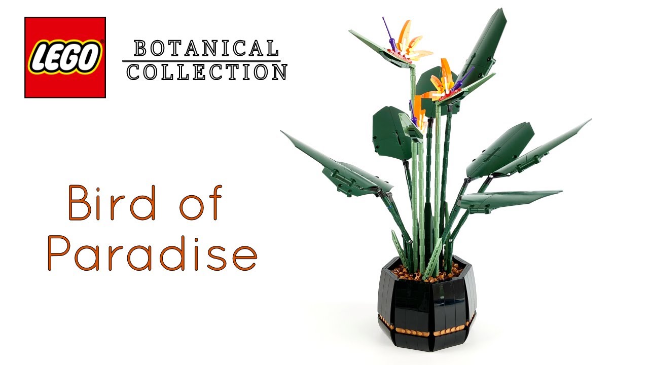 LEGO Paradiesvogelblume (10289) - Speed build