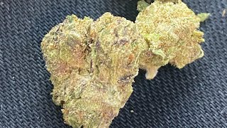 Dawg lemons review Illicit cannabis