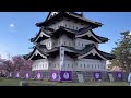 Top 8 best cherry blossom viewing spots in Osaka #sakura