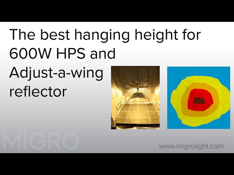 Video: Câți lumeni produce un HPS de 600w?