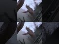 تجربة تباين أفعى الهيدرا العظيمة هيدرا المتحولة تهاجم وجها لوجه كيف يجب أن يقاتل البشر YOUKU تجربة تباين أفعى الهيدرا العظيمة هيدرا المتحولة تهاجم وجها لوجه كيف يجب أن يقاتل البشر YOUKU